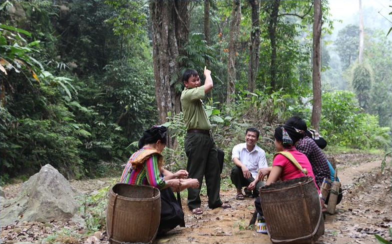 Phát huy vai trò bản sắc văn hóa các dân tộc thiểu số trong công tác bảo vệ rừng, cung ứng DVMTR