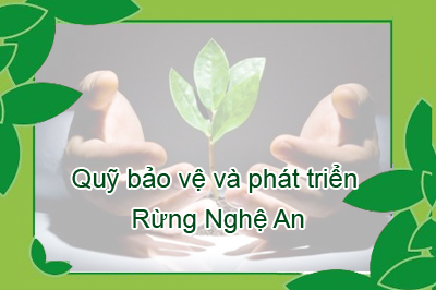 Yêu cầu báo giá Phí dịch vụ chi trả tiền