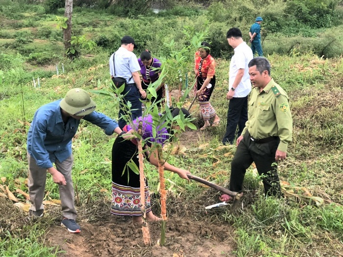 Nâng cao hiệu quả trong thực thi chính sách chi trả dịch vụ môi trường rừng